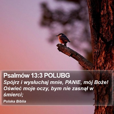 Psalmów 13:3 POLUBG Bible Verse Image