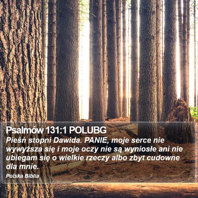 Psalmów 131:1 POLUBG Bible Verse Image
