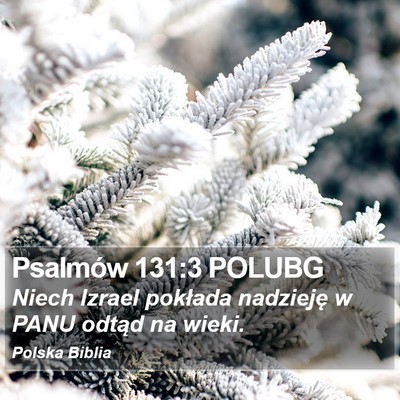 Psalmów 131:3 POLUBG Bible Verse Image