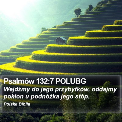 Psalmów 132:7 POLUBG Bible Verse Image