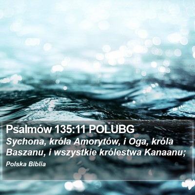 Psalmów 135:11 POLUBG Bible Verse Image