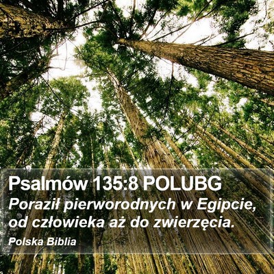 Psalmów 135:8 POLUBG Bible Verse Image
