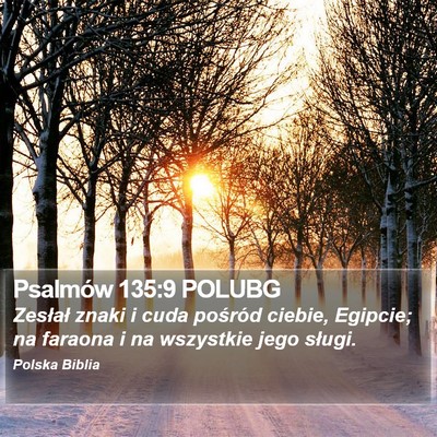 Psalmów 135:9 POLUBG Bible Verse Image