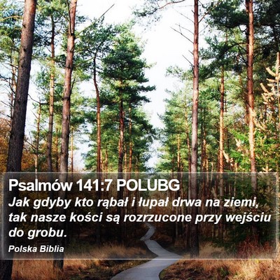 Psalmów 141:7 POLUBG Bible Verse Image