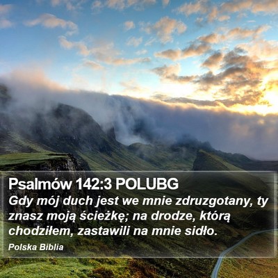 Psalmów 142:3 POLUBG Bible Verse Image