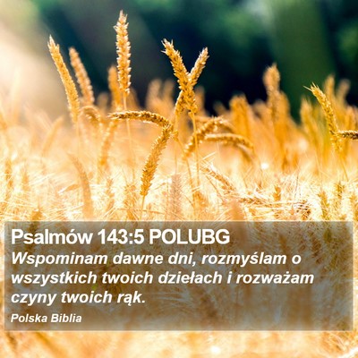 Psalmów 143:5 POLUBG Bible Verse Image