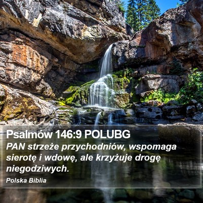 Psalmów 146:9 POLUBG Bible Verse Image