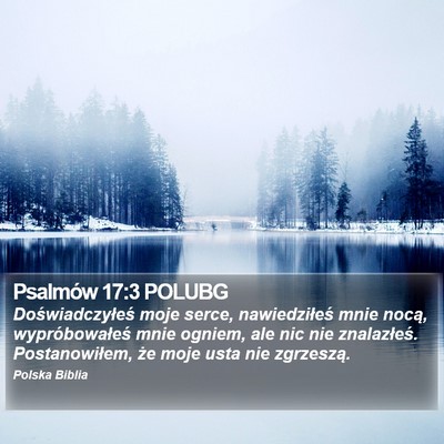 Psalmów 17:3 POLUBG Bible Verse Image