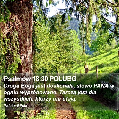 Psalmów 18:30 POLUBG Bible Verse Image
