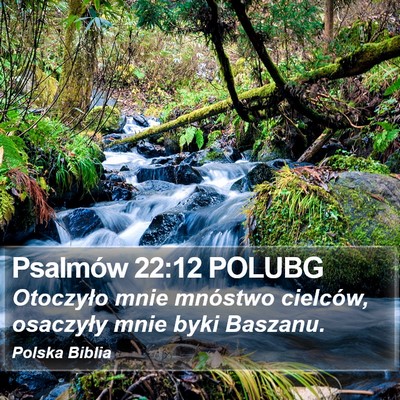 Psalmów 22:12 POLUBG Bible Verse Image