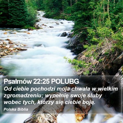 Psalmów 22:25 POLUBG Bible Verse Image