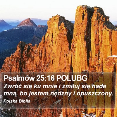 Psalmów 25:16 POLUBG Bible Verse Image