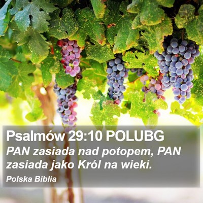 Psalmów 29:10 POLUBG Bible Verse Image