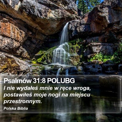 Psalmów 31:8 POLUBG Bible Verse Image
