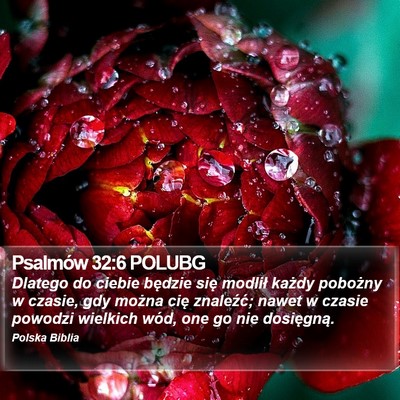 Psalmów 32:6 POLUBG Bible Verse Image
