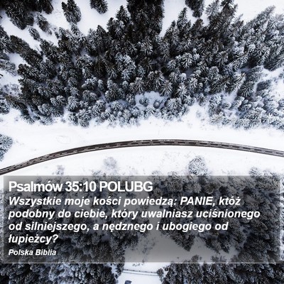 Psalmów 35:10 POLUBG Bible Verse Image