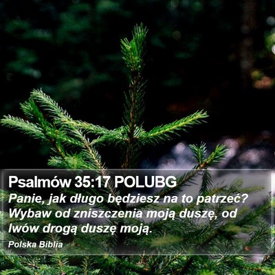 Psalmów 35:17 POLUBG Bible Verse Image