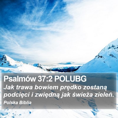 Psalmów 37:2 POLUBG Bible Verse Image