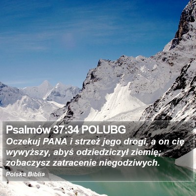 Psalmów 37:34 POLUBG Bible Verse Image