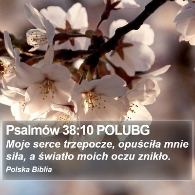 Psalmów 38:10 POLUBG Bible Verse Image