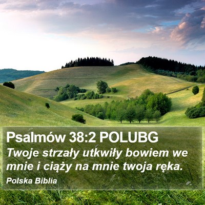 Psalmów 38:2 POLUBG Bible Verse Image