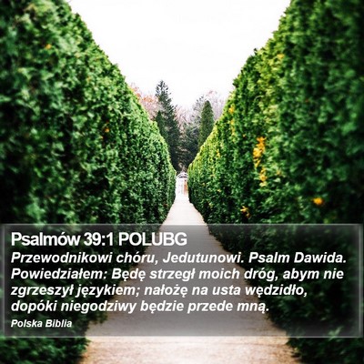 Psalmów 39:1 POLUBG Bible Verse Image