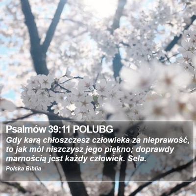 Psalmów 39:11 POLUBG Bible Verse Image