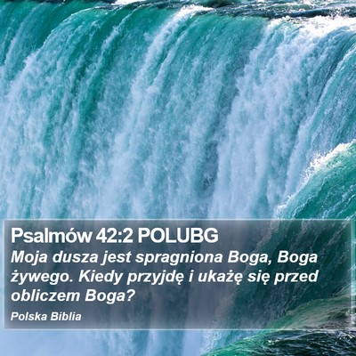 Psalmów 42:2 POLUBG Bible Verse Image