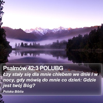 Psalmów 42:3 POLUBG Bible Verse Image