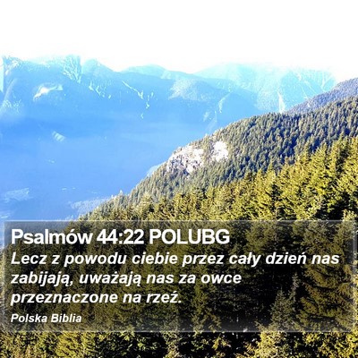 Psalmów 44:22 POLUBG Bible Verse Image