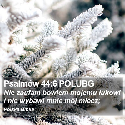 Psalmów 44:6 POLUBG Bible Verse Image