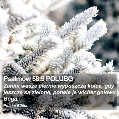 Psalmów 58:9 POLUBG Bible Verse Image
