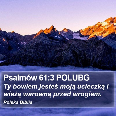 Psalmów 61:3 POLUBG Bible Verse Image