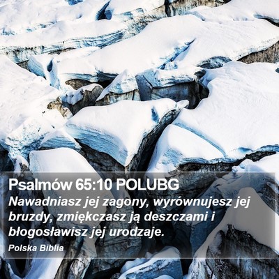 Psalmów 65:10 POLUBG Bible Verse Image