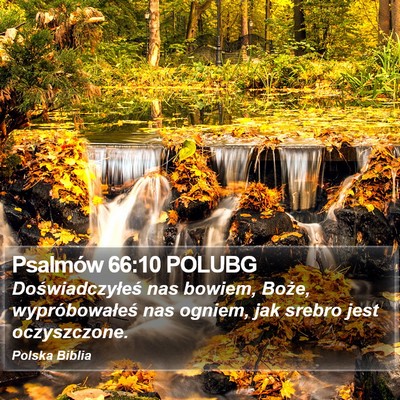 Psalmów 66:10 POLUBG Bible Verse Image