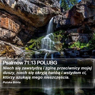 Psalmów 71:13 POLUBG Bible Verse Image