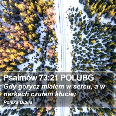 Psalmów 73:21 POLUBG Bible Verse Image