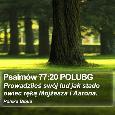 Psalmów 77:20 POLUBG Bible Verse Image