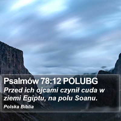 Psalmów 78:12 POLUBG Bible Verse Image