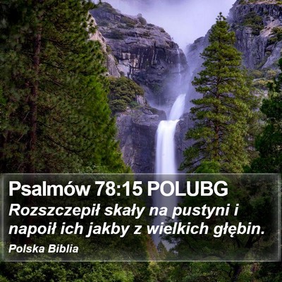 Psalmów 78:15 POLUBG Bible Verse Image