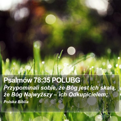 Psalmów 78:35 POLUBG Bible Verse Image