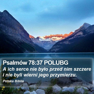 Psalmów 78:37 POLUBG Bible Verse Image