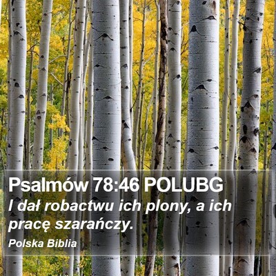Psalmów 78:46 POLUBG Bible Verse Image
