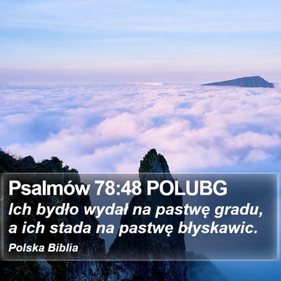 Psalmów 78:48 POLUBG Bible Verse Image