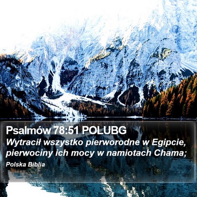 Psalmów 78:51 POLUBG Bible Verse Image