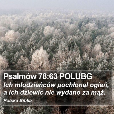 Psalmów 78:63 POLUBG Bible Verse Image
