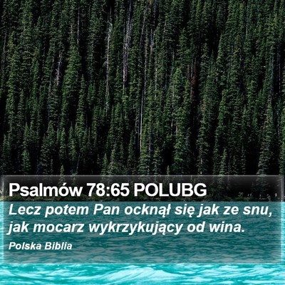 Psalmów 78:65 POLUBG Bible Verse Image