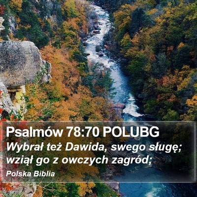 Psalmów 78:70 POLUBG Bible Verse Image