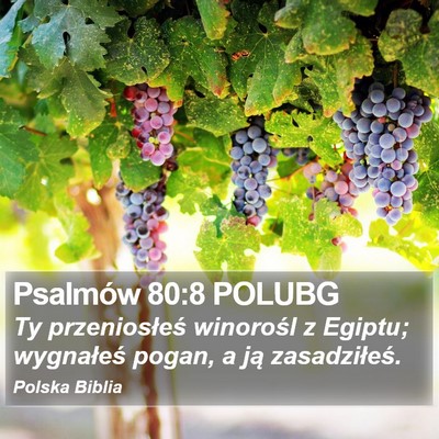 Psalmów 80:8 POLUBG Bible Verse Image