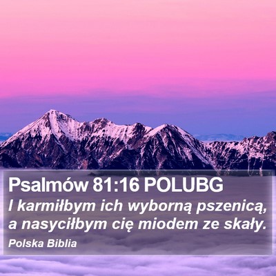 Psalmów 81:16 POLUBG Bible Verse Image